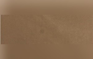 Delhi Brown Sandstone