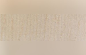 Delhi Gold Sandstone