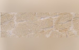 Delicate Beige Marble