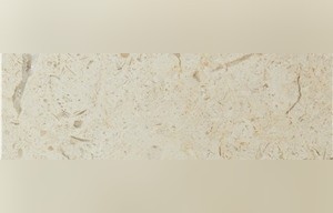 Delicato Cream Marble