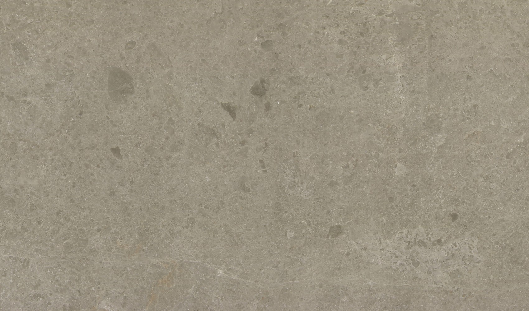 Delicato Grey