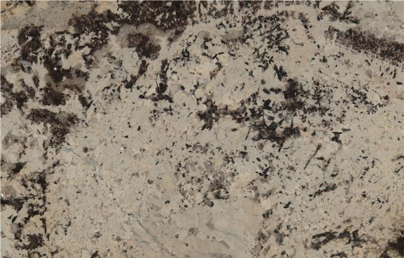 Delicatus Splendor Granite