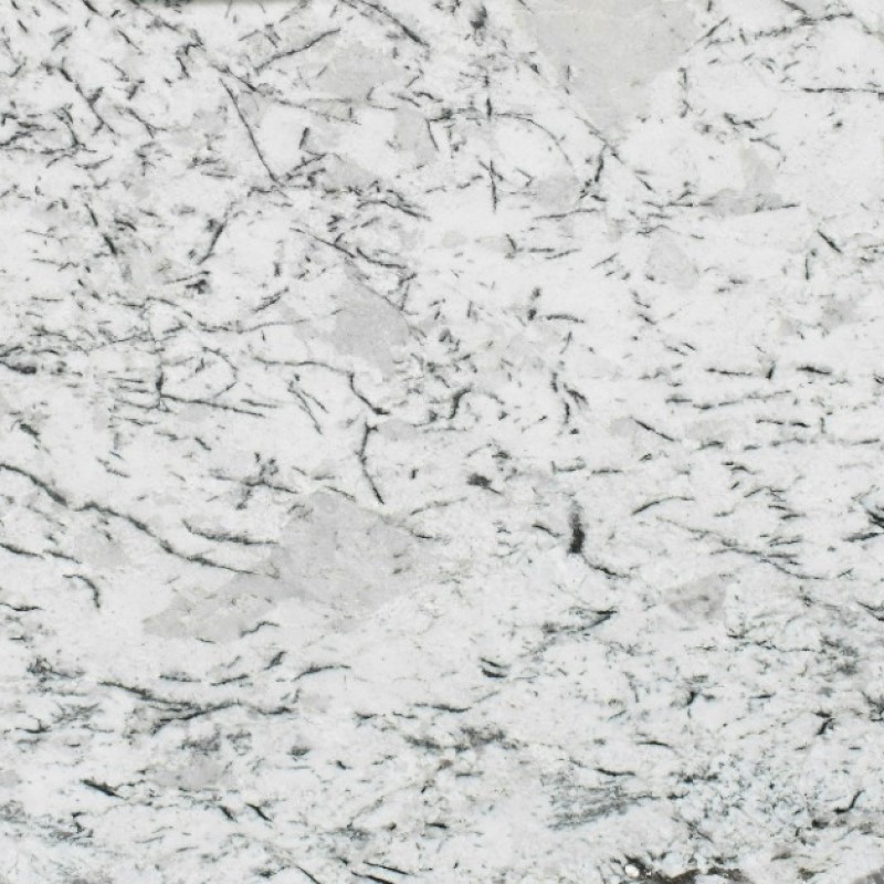 Delicatus White