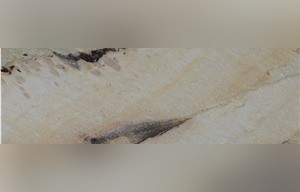 Desert Eagle Quartzite