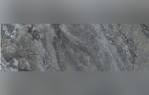 Desert Grey Marble