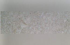 Desert Oasis Marble