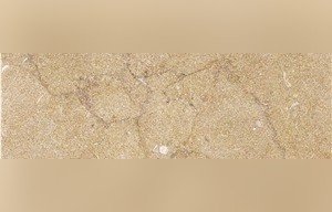 Desert Yellow Limestone