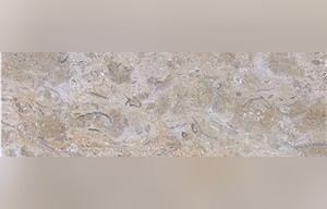 Dicle Crema Limestone