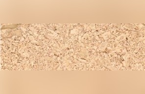 Dieue Limestone