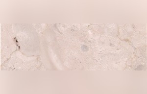 Diler Beige Marble