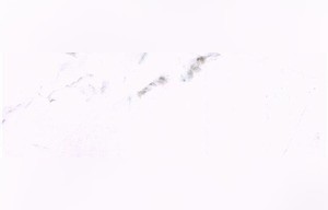 Dolit White Marble