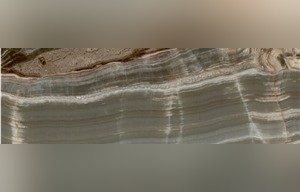 Dolphin Onyx