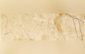 Dorado Tepexi Limestone