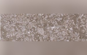 Double Creamy Beige Marble