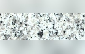 Dover White Granite