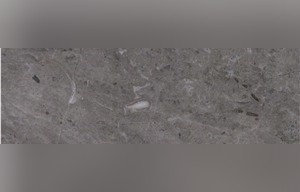 Dragon Grey Marble