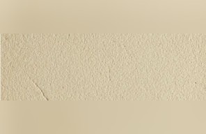 Dunnville Sandstone
