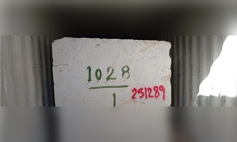 Egypt Fantastic White Granite