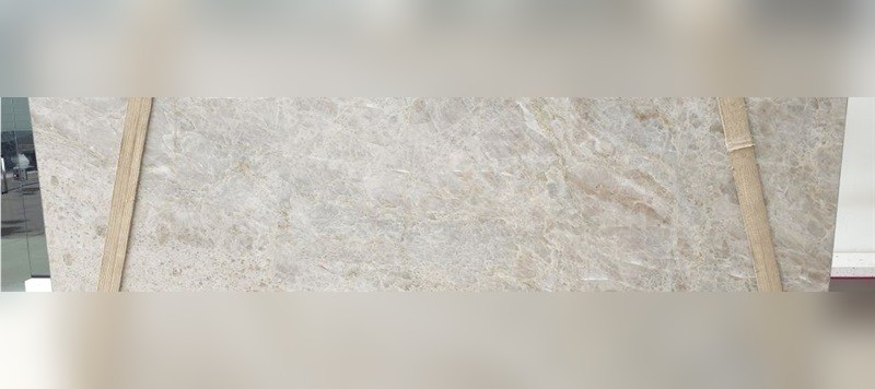 Elegance White Quartzite