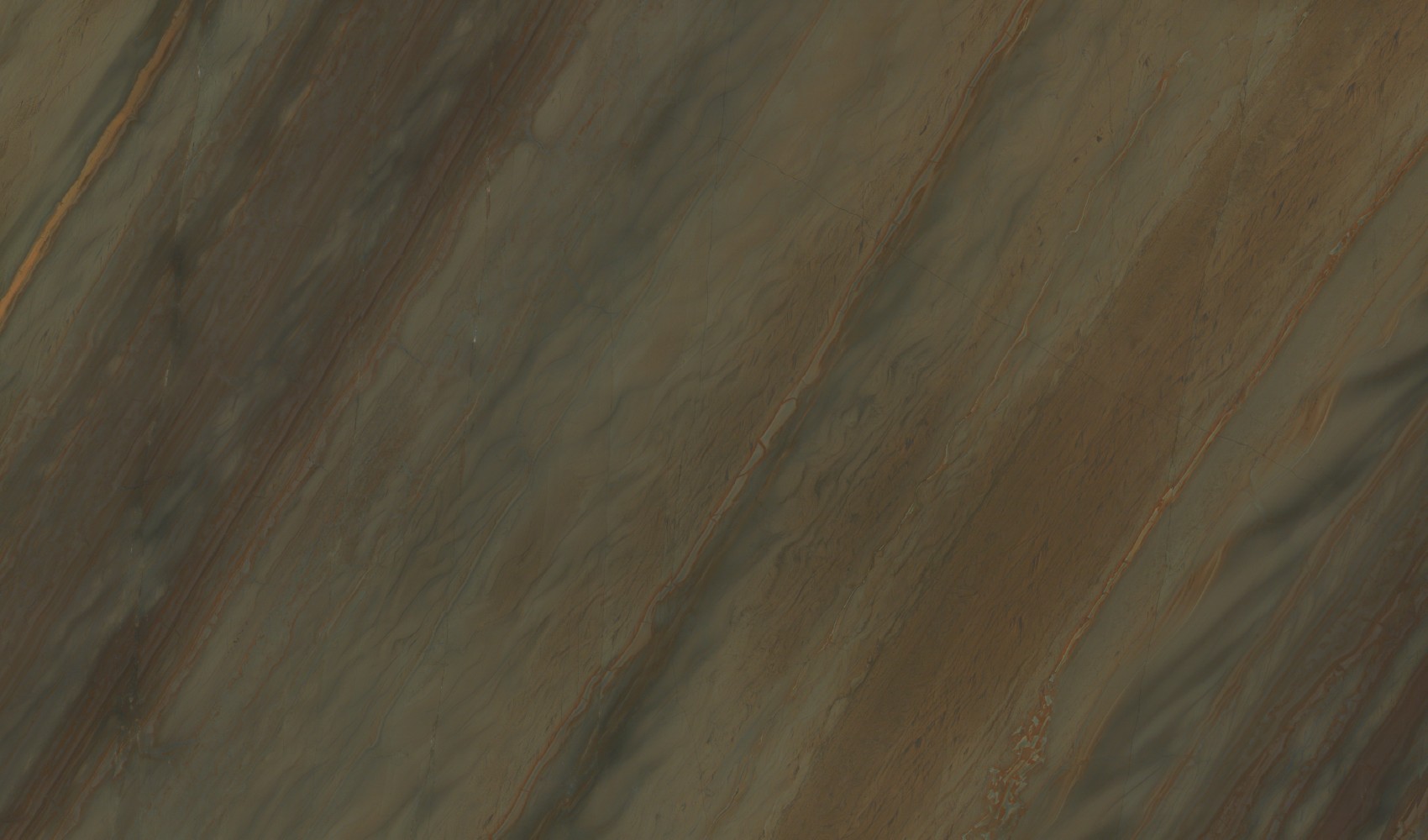 Elegant Brown