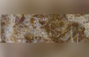 Elegant Gold