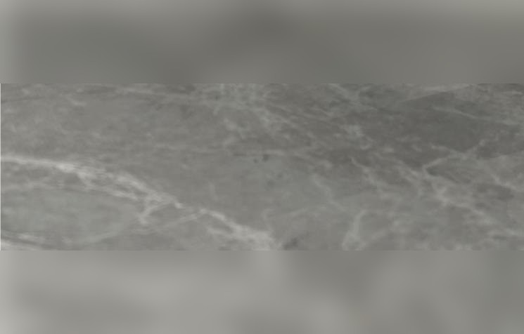 Elephant Gray Marble