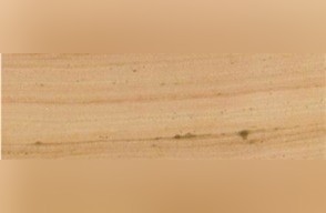 Emerald Beige Marble