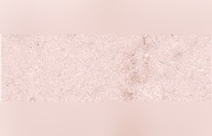 Entas New Beige Marble
