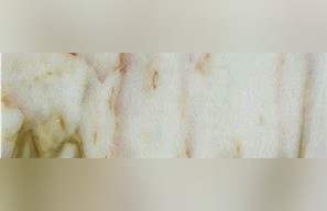 Estremoz Marble