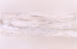 Eurasian White Wood Marble