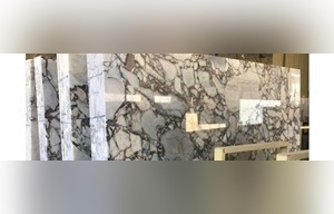 Exotic Blue Marble