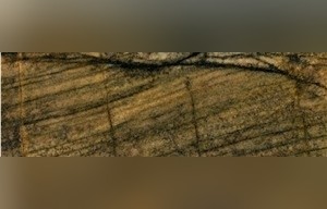 Fantasy Gold Granite