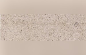 Fatima Cream B1 Limestone