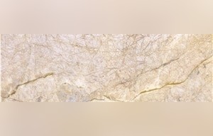 Feather Gold Marble