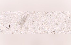 Filetto Hasana Marble