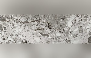 Fiore Di Aurisina Limestone