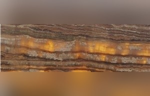 Flame Onyx