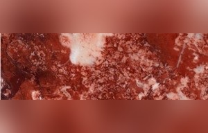 Fleur Rouge Marble
