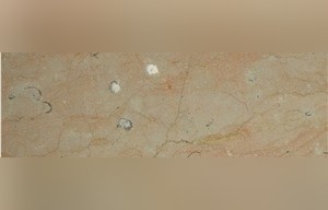 Flora Limestone