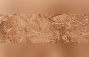 Flower Gold Limestone