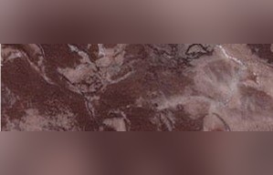 Flowery Chittor Limestone