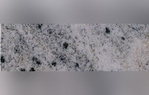 Forest White Granite