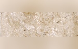 Fortune Beige Marble