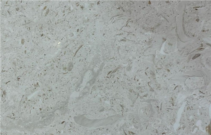 Fossil Cream Marble