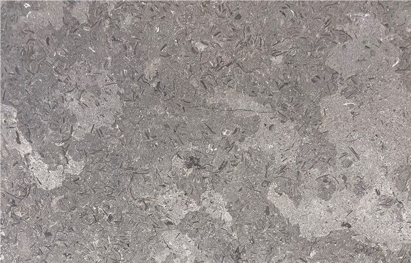 Fossil Gray Limestone