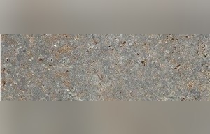 Fossil Grey Limestone