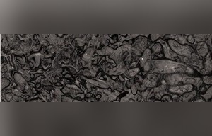 Fossil Grey Marble