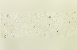 Fossil Limestone