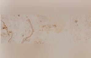 France Beige Limestone