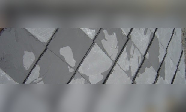 Friarfjord Slate